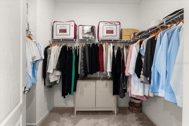 spacious closet featuring light carpet