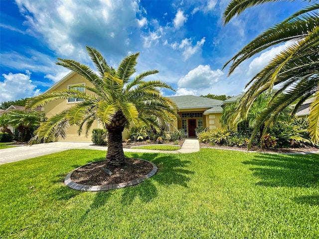 obstructed view of property with a front yard