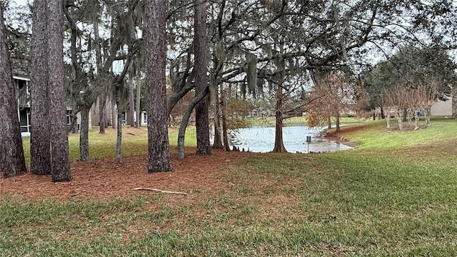 view of yard featuring a water view