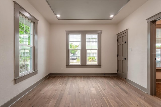 spare room with light hardwood / wood-style floors and a wealth of natural light