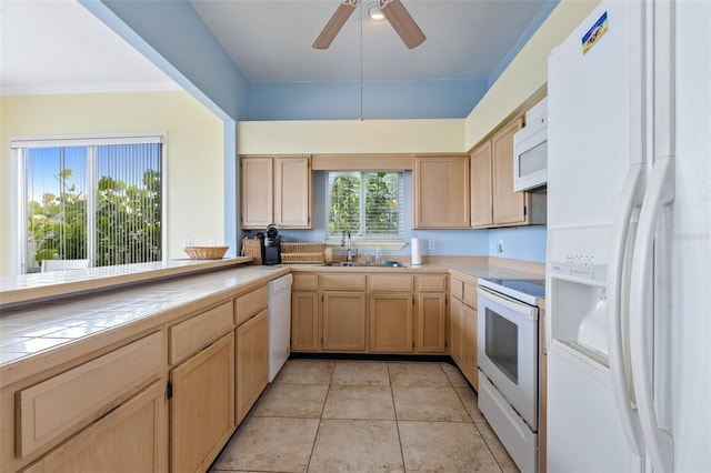 6368 S Atlantic Ave, New Smyrna Beach, FL 32169 - photo 10