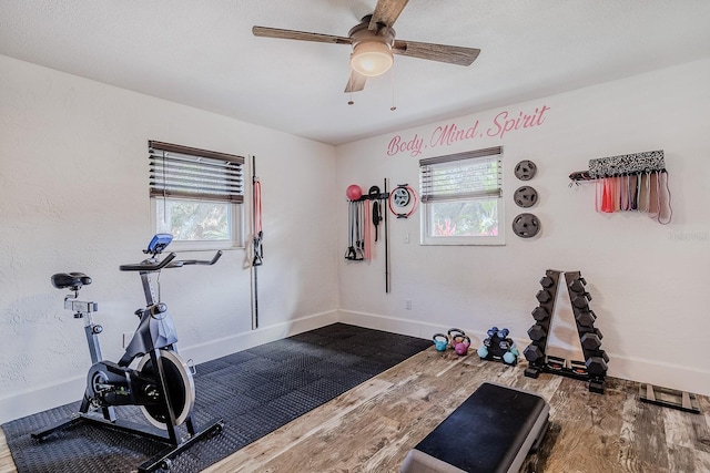 exercise area with hardwood / wood-style floors, plenty of natural light, and ceiling fan