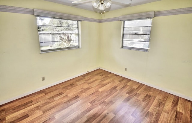 unfurnished room featuring ceiling fan and light hardwood / wood-style flooring