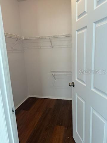 spacious closet with hardwood / wood-style floors