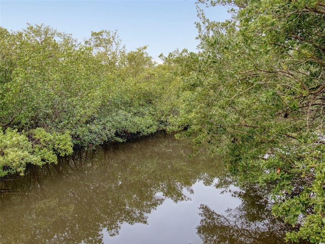 view of local wilderness with a water view