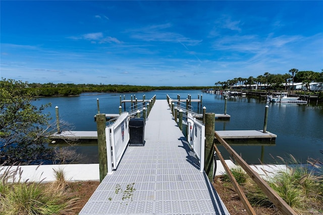 dock area with a water view