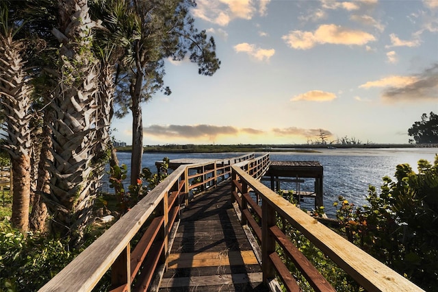 dock area with a water view