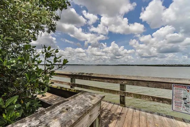 dock area with a water view