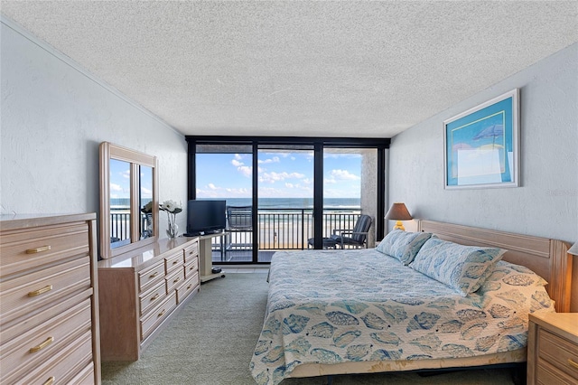 bedroom featuring light carpet, a textured ceiling, access to outside, and multiple windows