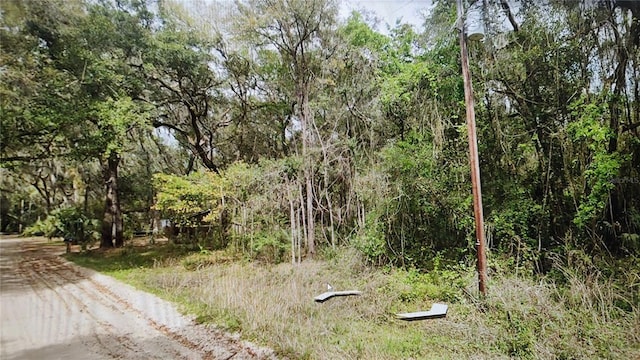 00 Yawn Ave, Interlachen FL, 32148 land for sale