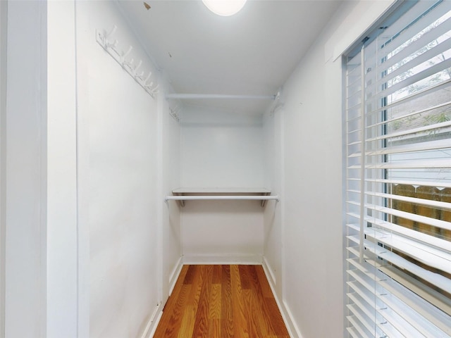 spacious closet featuring hardwood / wood-style floors