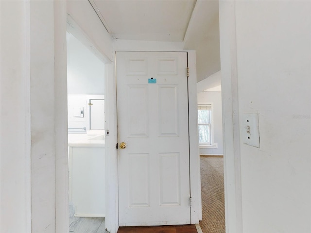 hall featuring carpet floors