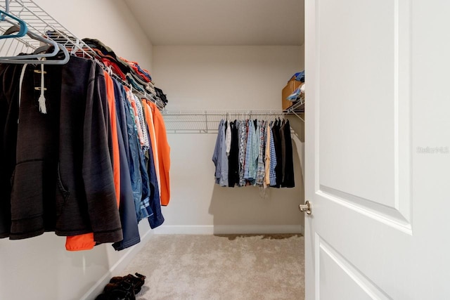 spacious closet featuring light colored carpet