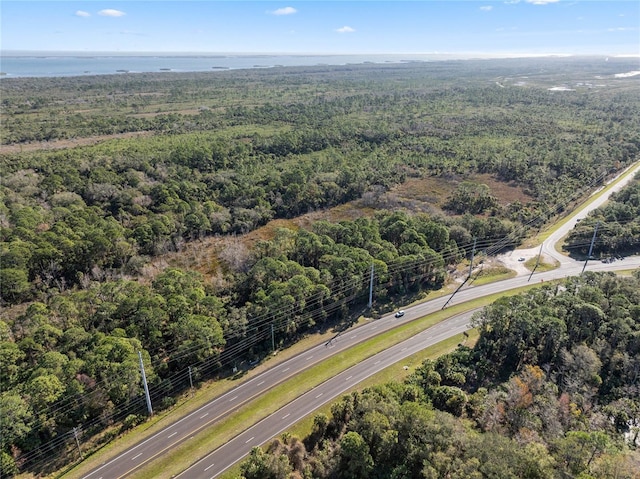 699 S US Highway 1, Oak Hill FL, 32759 land for sale