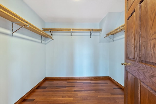 spacious closet featuring dark hardwood / wood-style floors