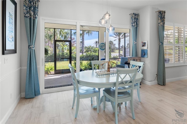 dining room with light hardwood / wood-style floors and a wealth of natural light