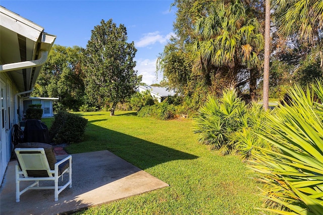 view of yard featuring a patio area