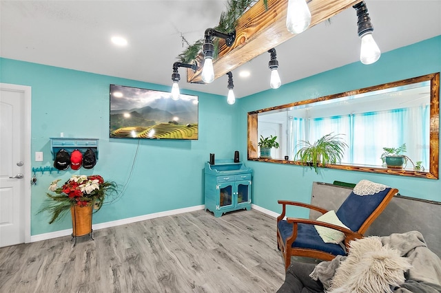 living area featuring hardwood / wood-style floors and a wood stove