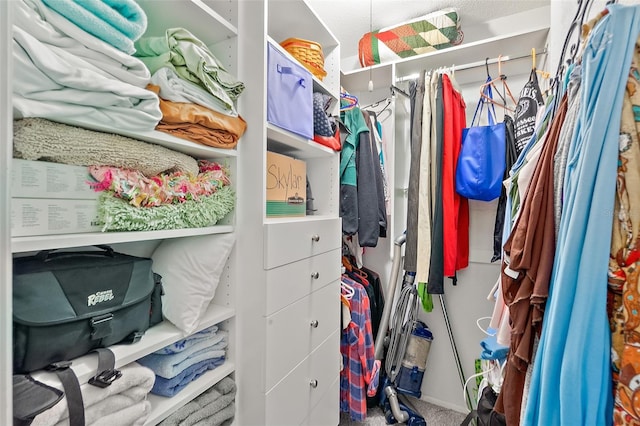 walk in closet with carpet flooring