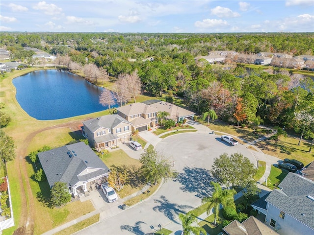 2707 Atlantis Dr, New Smyrna Beach, FL 32168 - bird's eye view with a water view