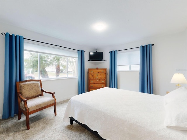 bedroom featuring carpet floors