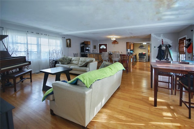 living room featuring light hardwood / wood-style floors