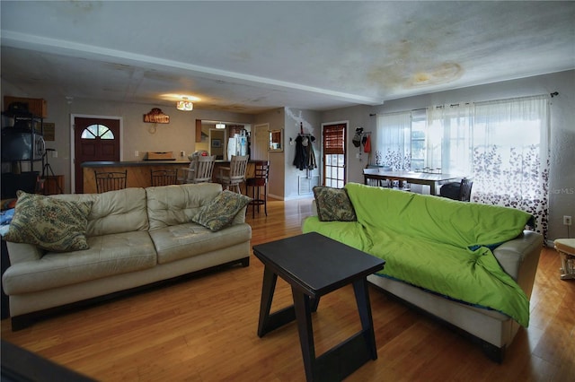 living room featuring hardwood / wood-style flooring