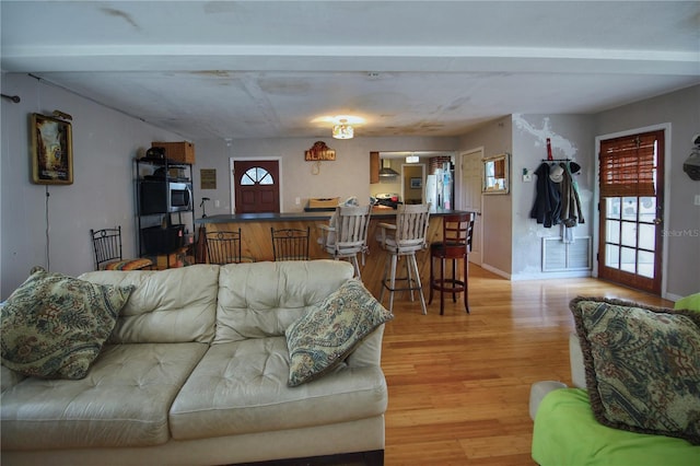 living room with light hardwood / wood-style flooring