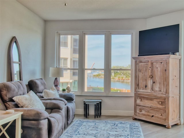 living room with hardwood / wood-style flooring