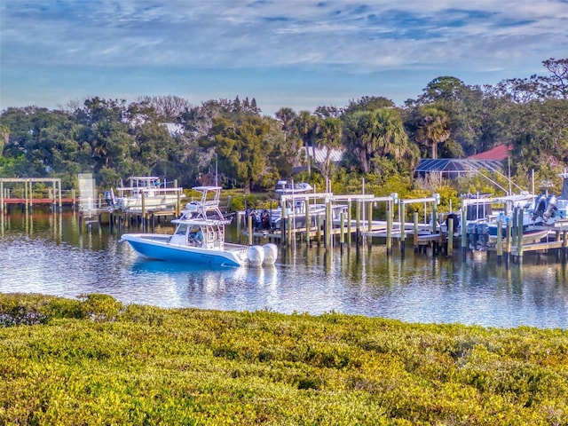 dock area featuring a water view