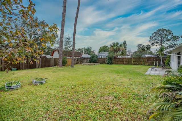 view of yard featuring a patio