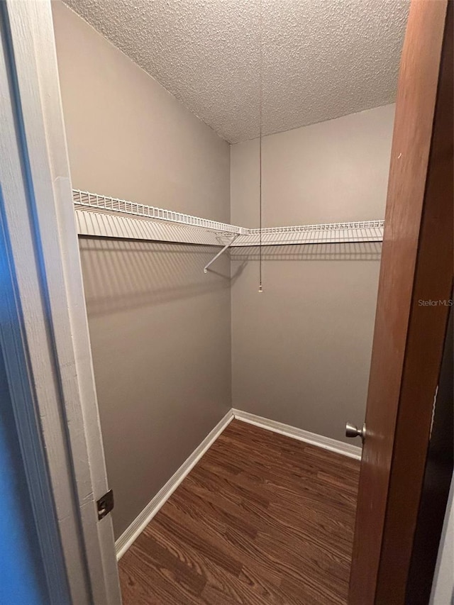 walk in closet featuring vaulted ceiling and dark hardwood / wood-style flooring