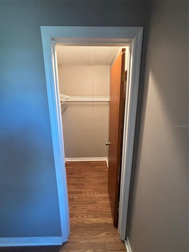 walk in closet with dark hardwood / wood-style floors