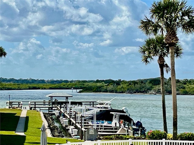 dock area with a water view