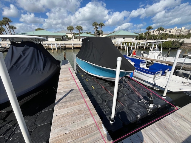 dock area with a water view