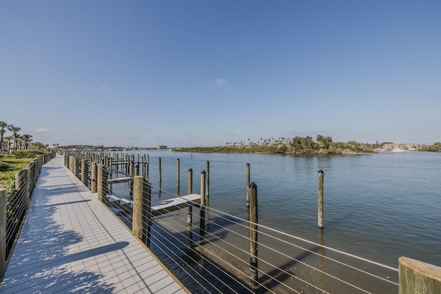 dock area with a water view