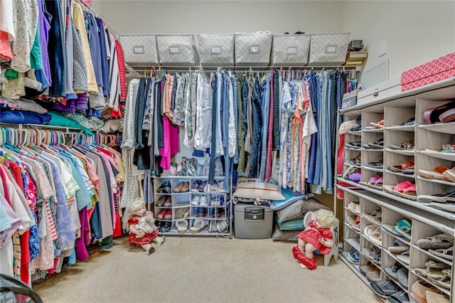 walk in closet with carpet flooring