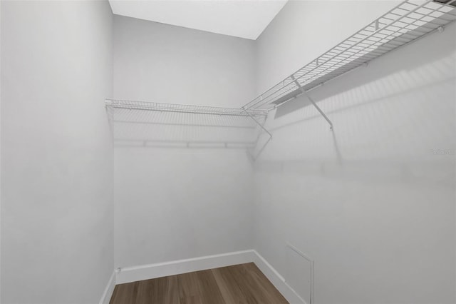 walk in closet with hardwood / wood-style floors