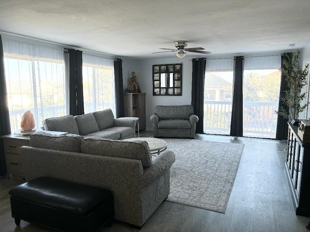 living room with hardwood / wood-style flooring and ceiling fan