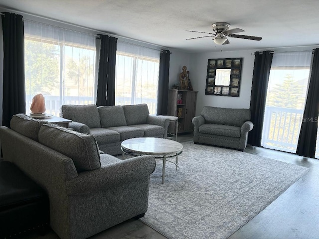 living room with hardwood / wood-style floors and ceiling fan