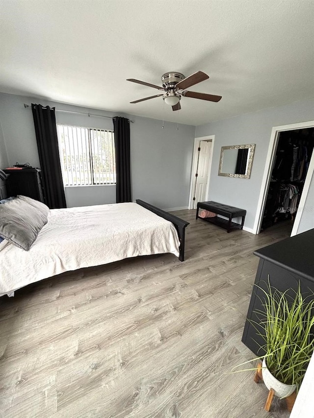 bedroom featuring a walk in closet, hardwood / wood-style floors, ceiling fan, and a closet