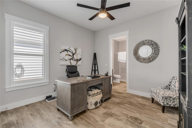 office space featuring ceiling fan, plenty of natural light, and light wood-type flooring