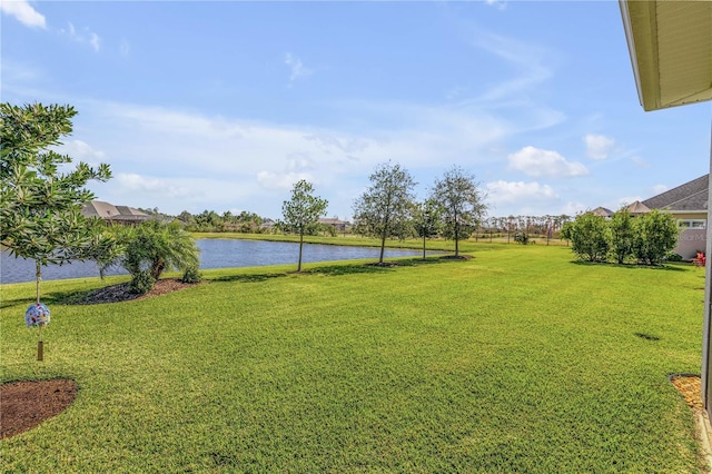 view of yard with a water view