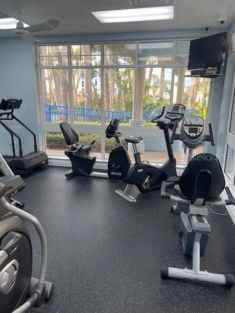 exercise room featuring ceiling fan and a drop ceiling