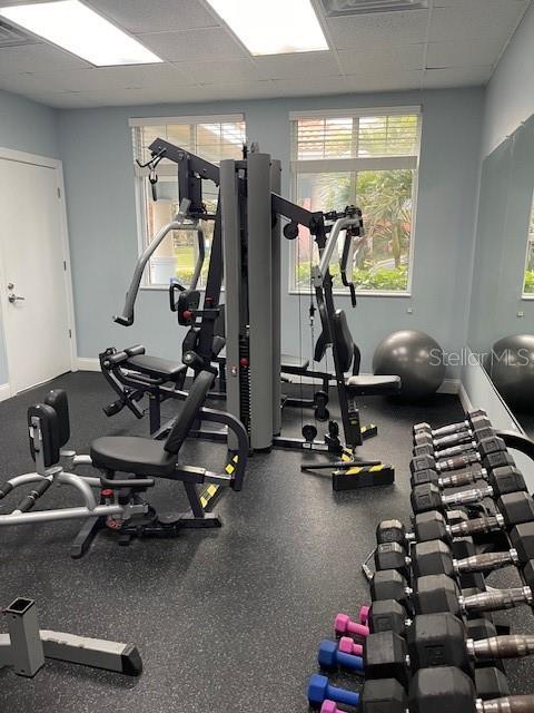 exercise room with a drop ceiling