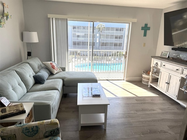 living room featuring dark hardwood / wood-style flooring