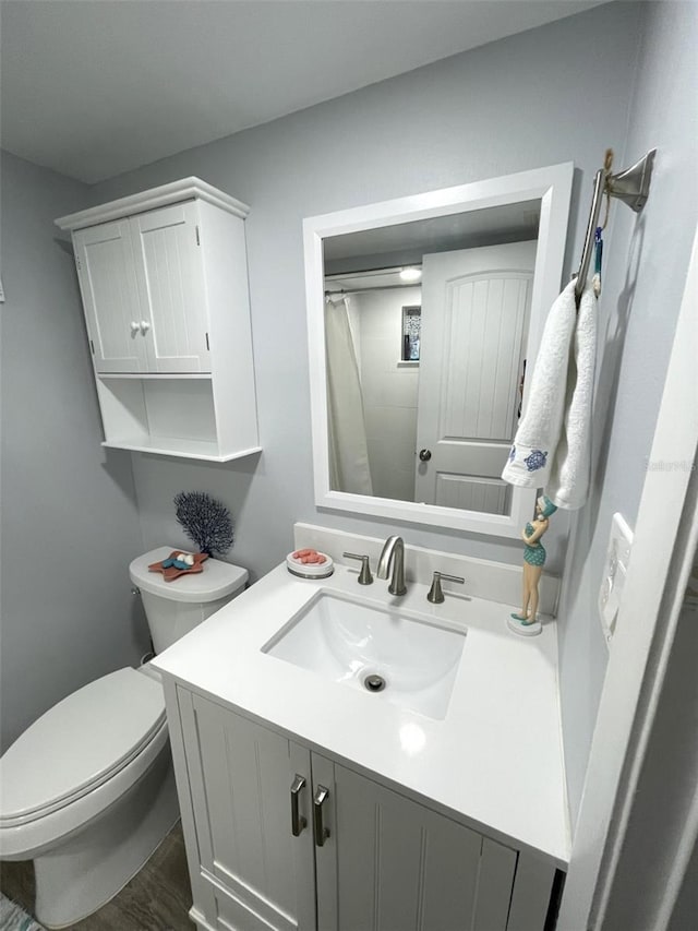 bathroom with vanity and toilet