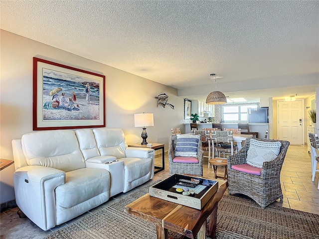 living room featuring a textured ceiling