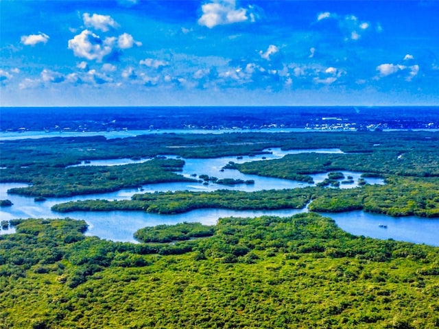 bird's eye view with a water view