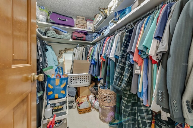 view of spacious closet